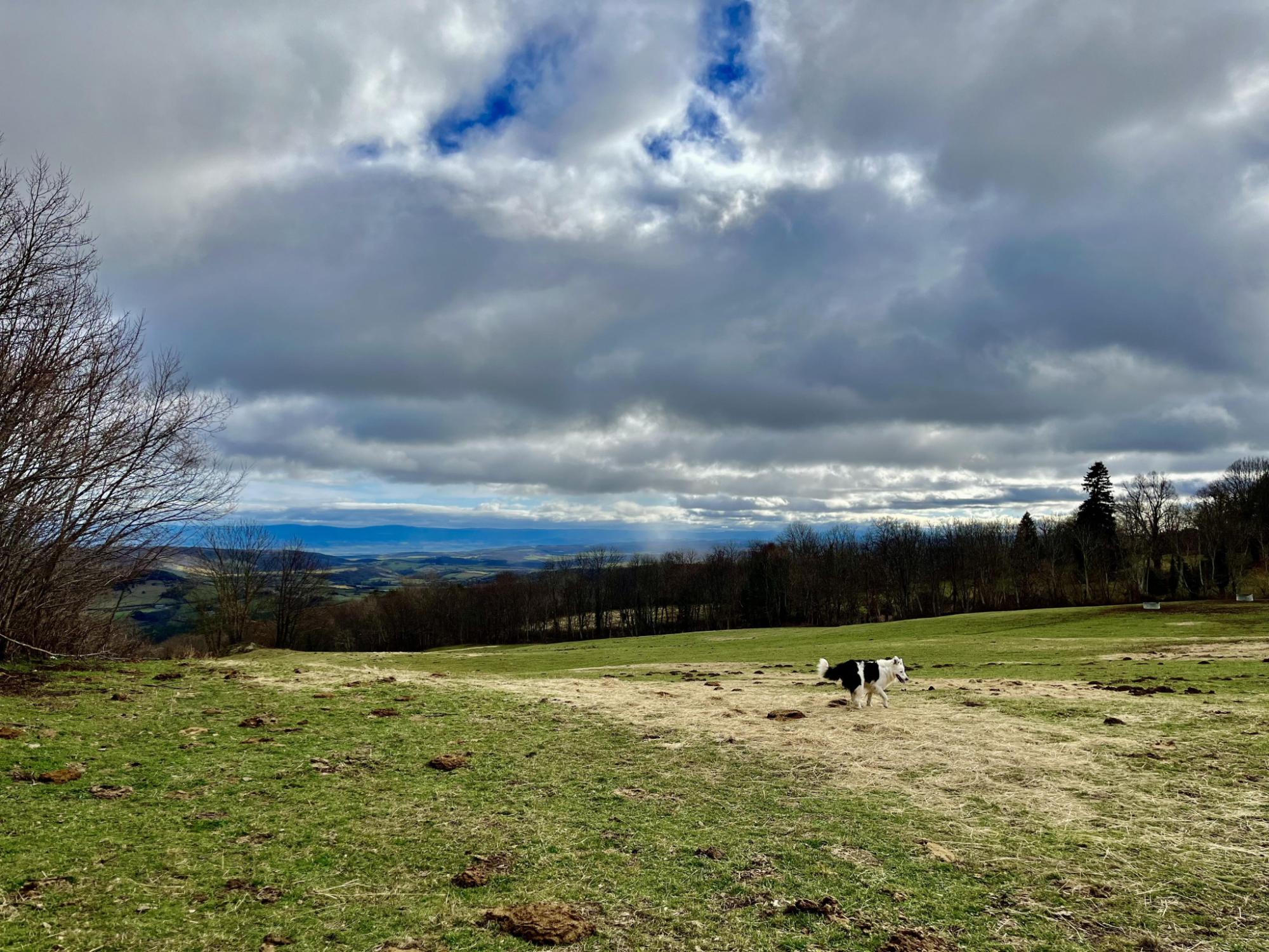 Maison • Ardes • 100m2