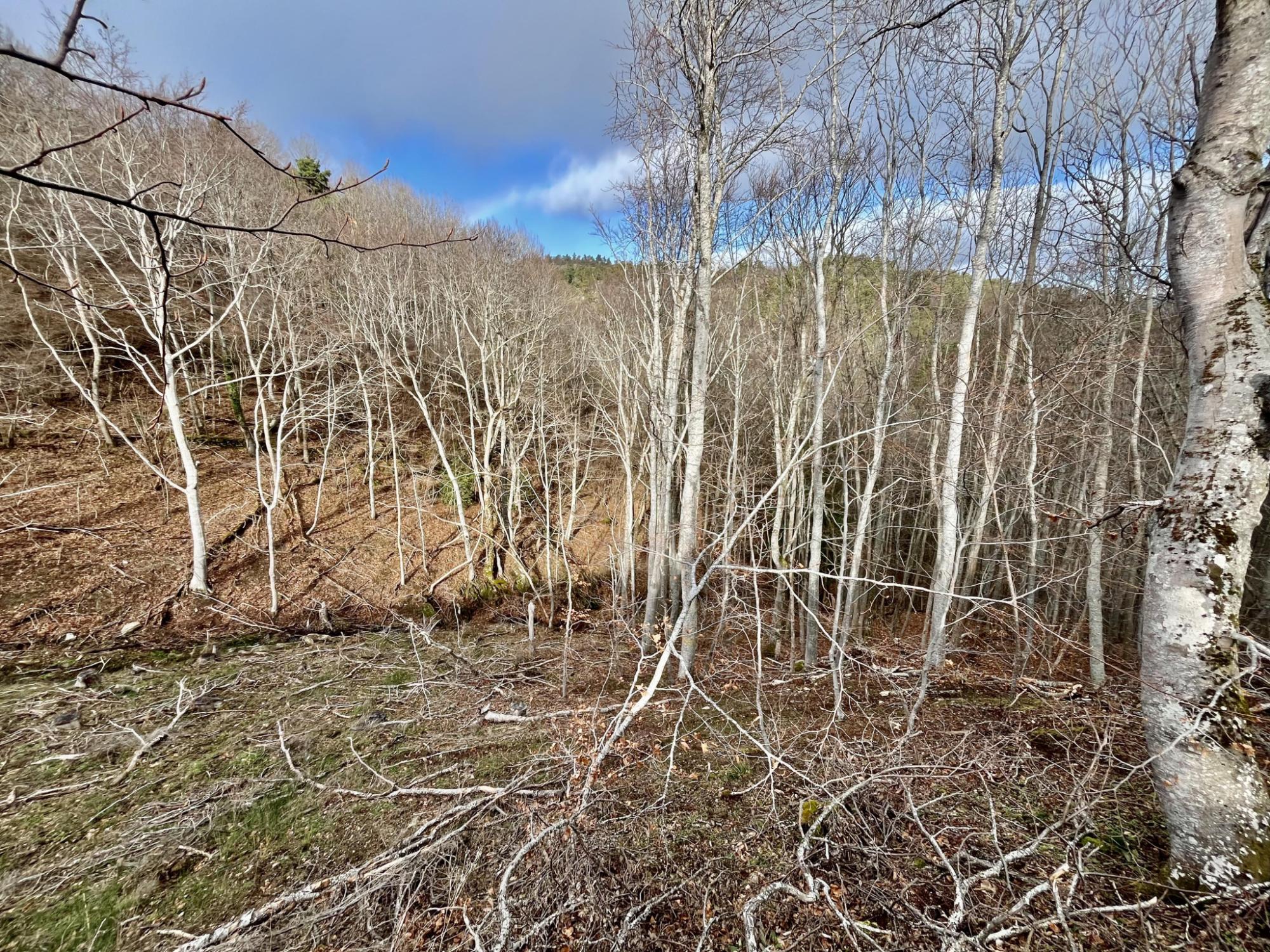 Maison • Ardes • 100m2