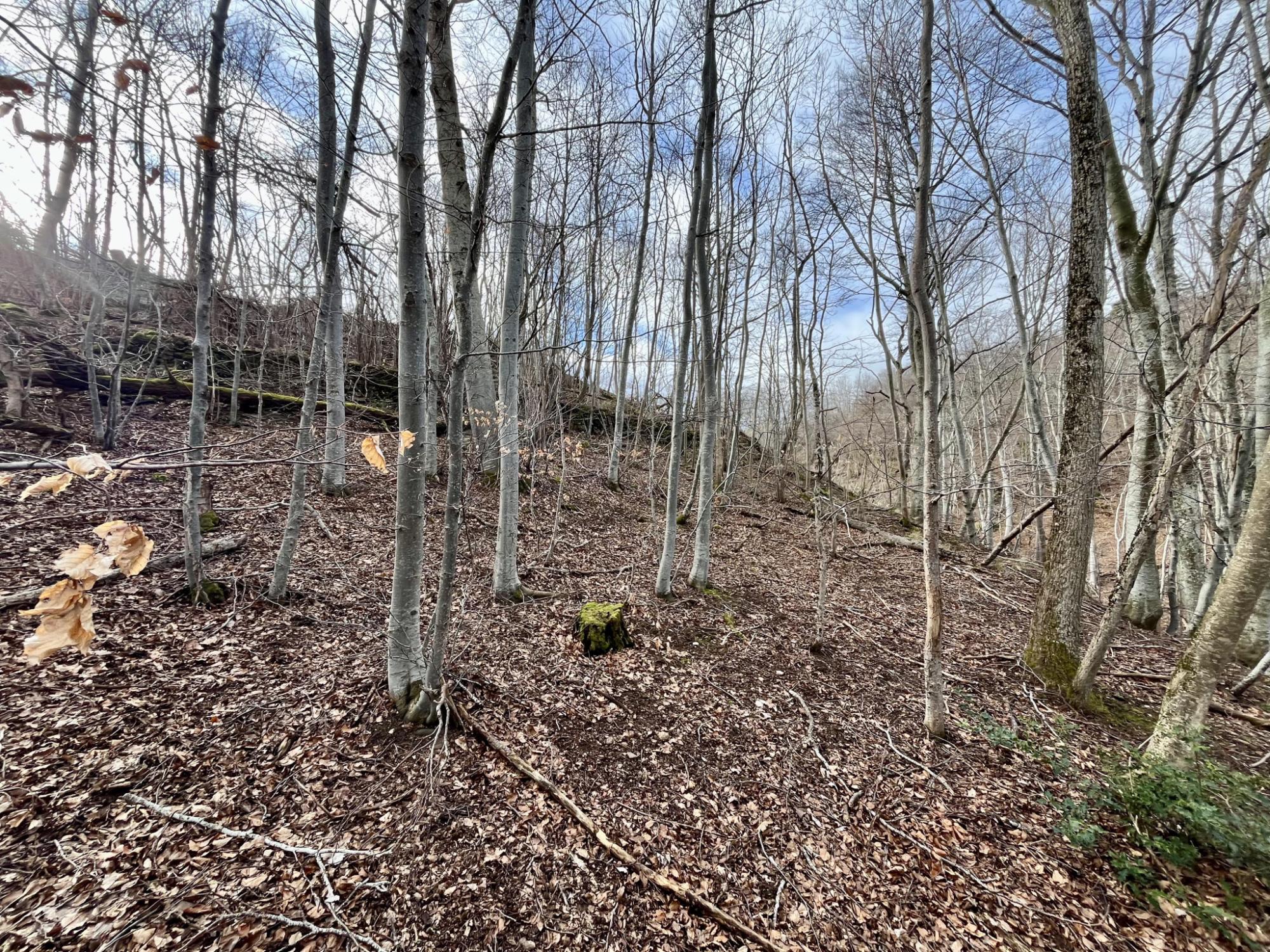 Maison • Ardes • 100m2